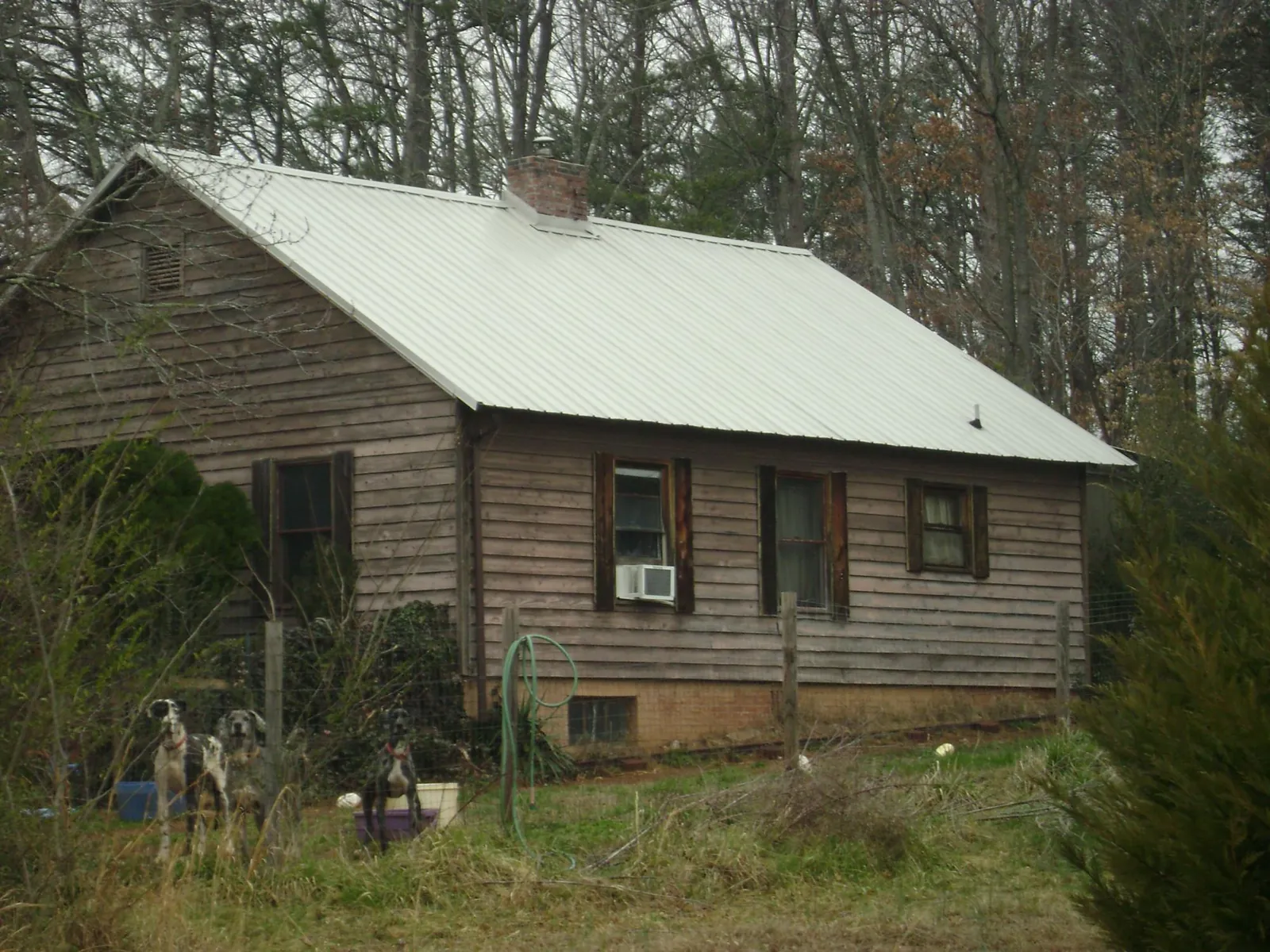 White metal roof on an old wood sided farmhouse, from a Metal Roof Installation job in Cascade Locks